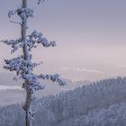 Winterlandschaft