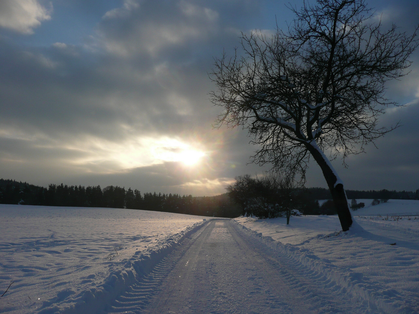 Winterlandschaft