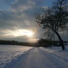 Winterlandschaft