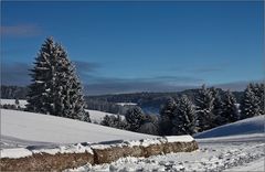 Winterlandschaft