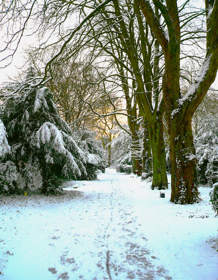 Winterlandschaft