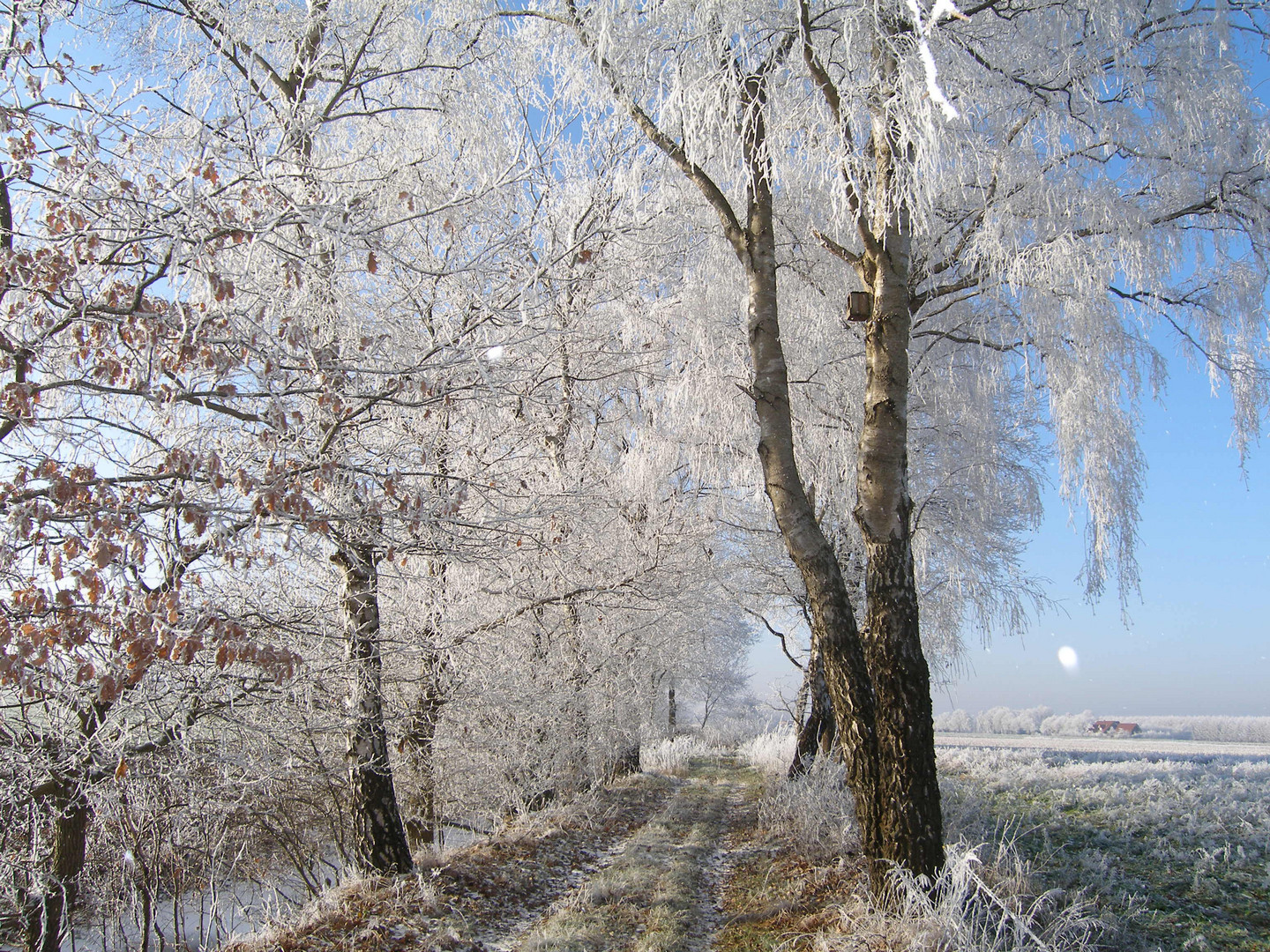 "Winterlandschaft"