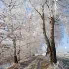 "Winterlandschaft"