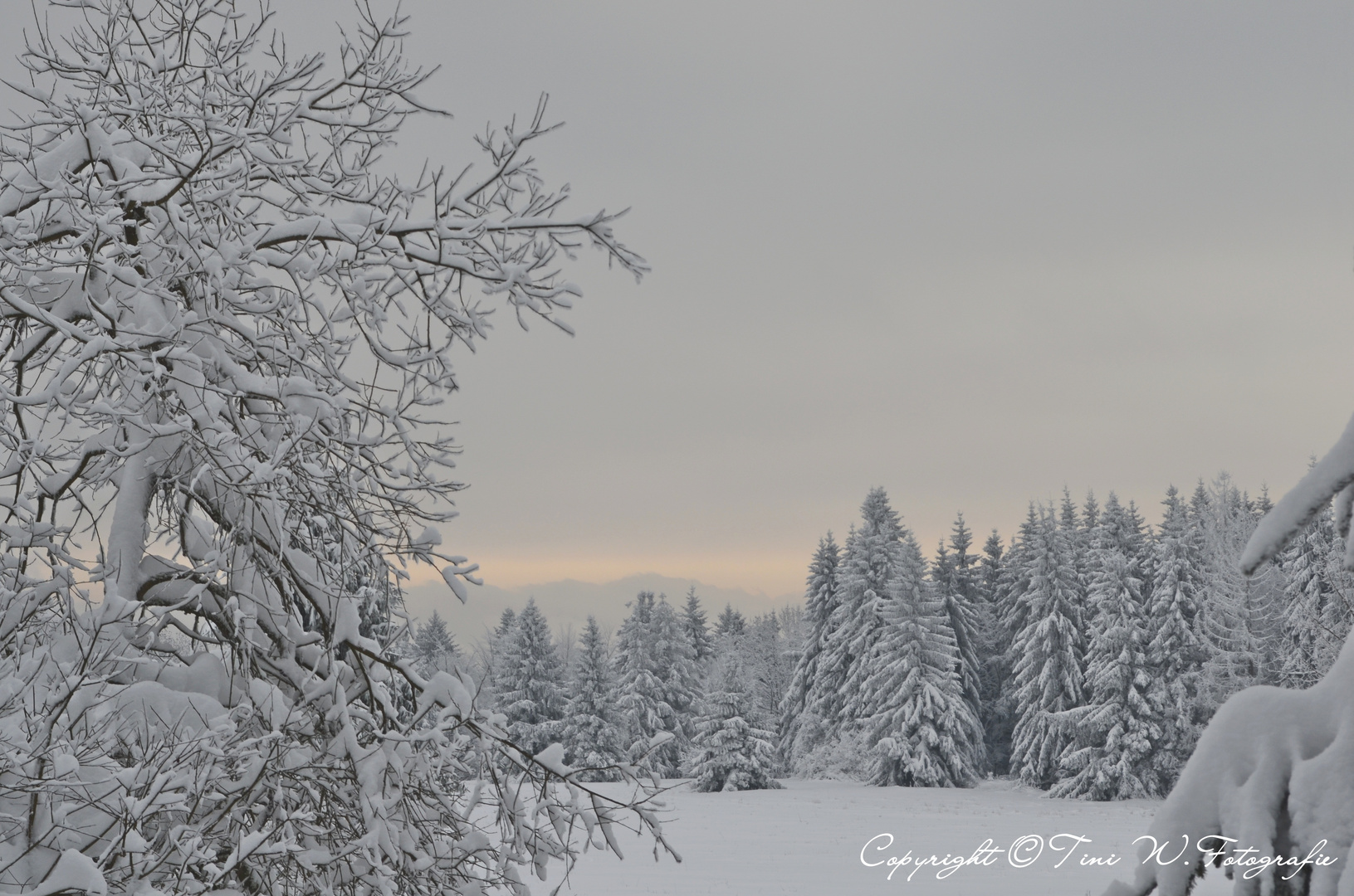 Winterlandschaft