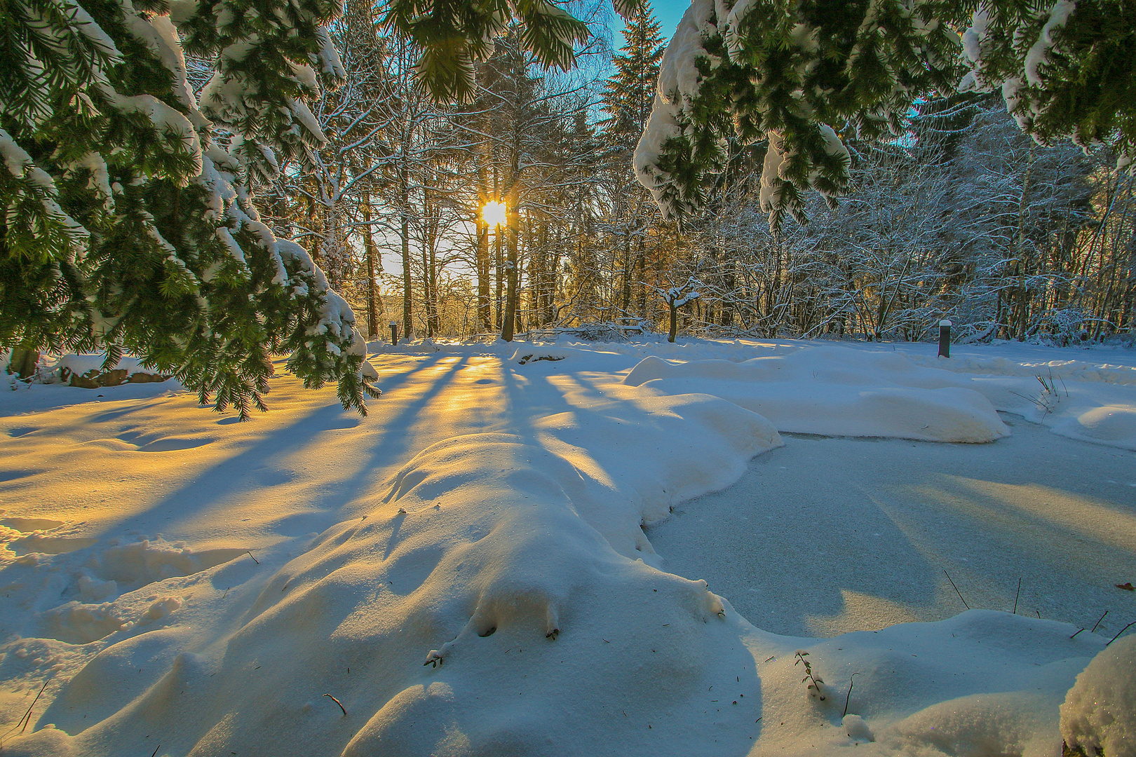Winterlandschaft Foto & Bild  landschaft, naturlandschaft bei nacht 
