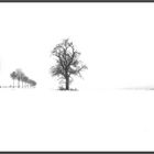 Winterlandschaft