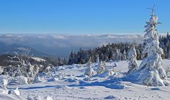 Winterlandschaft