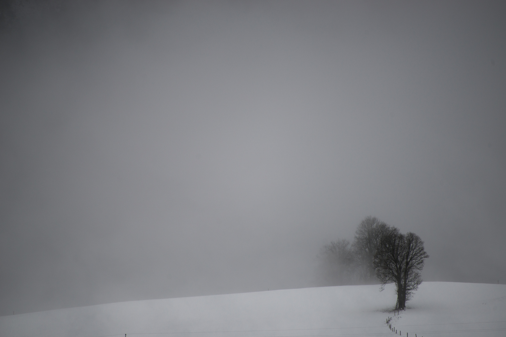 Winterlandschaft