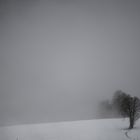 Winterlandschaft