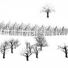 Winterlandschaft