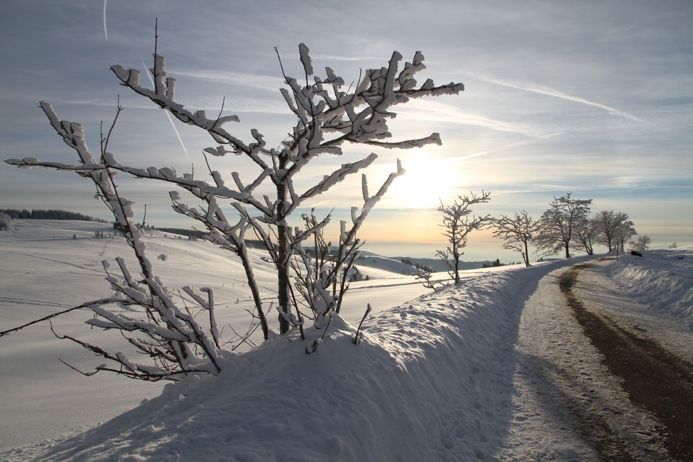 Winterlandschaft....