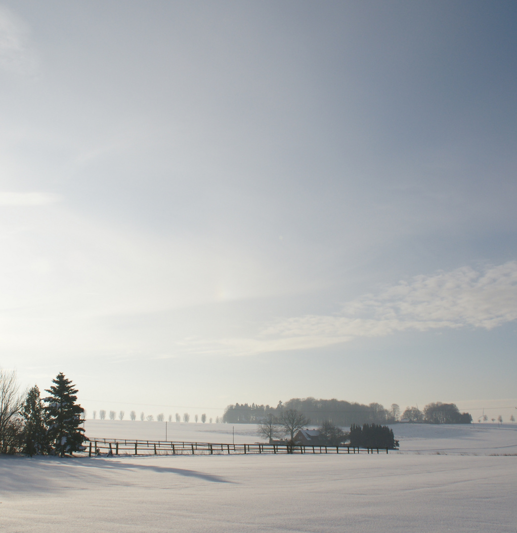 Winterlandschaft