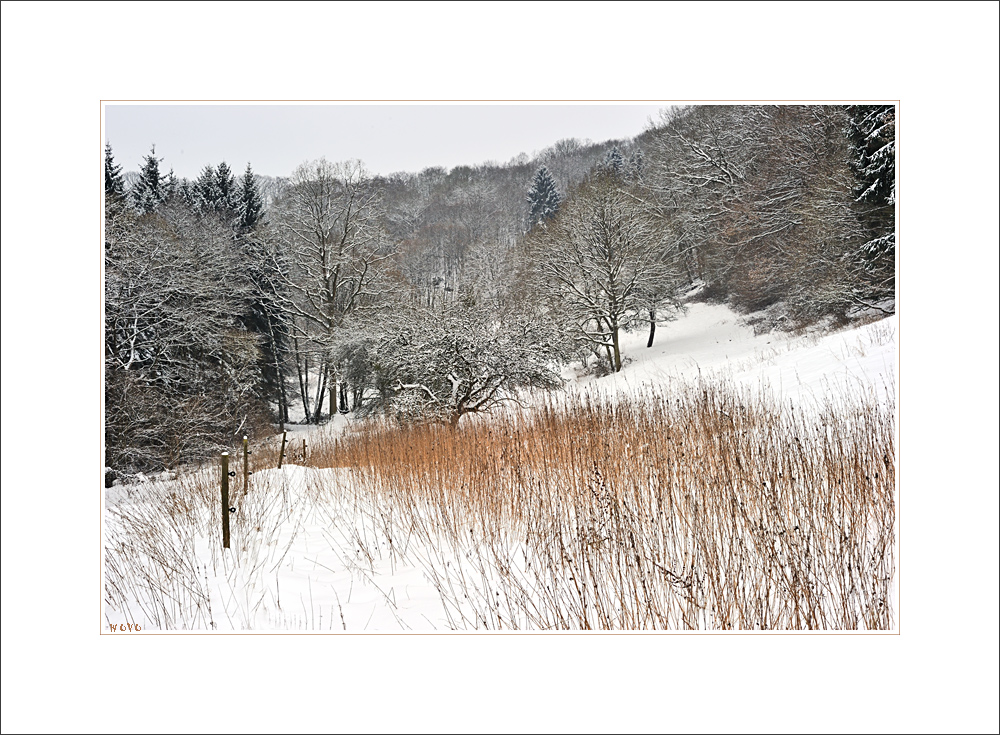 winterlandschaft