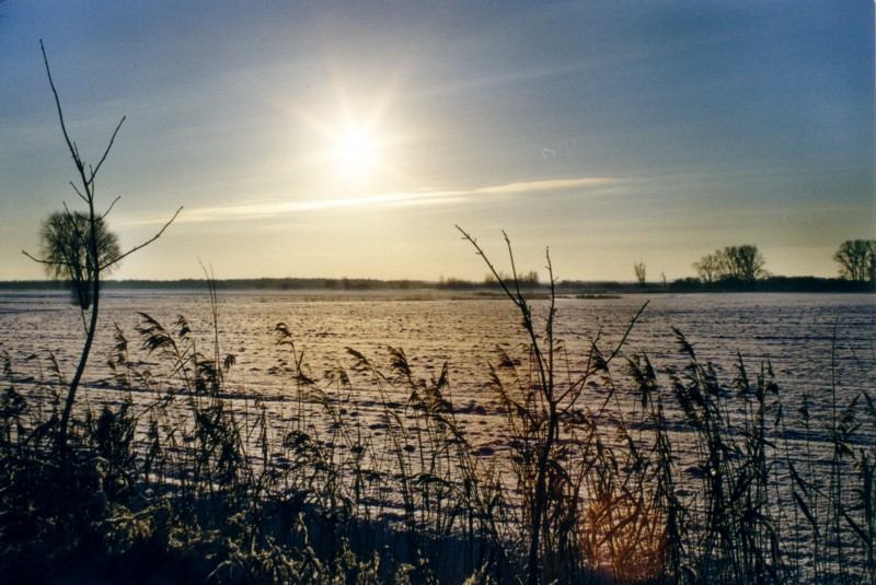 Winterlandschaft