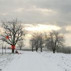 Winterlandschaft