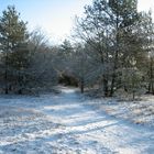 Winterlandschaft