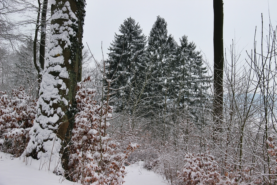 Winterlandschaft