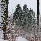 Winterlandschaft