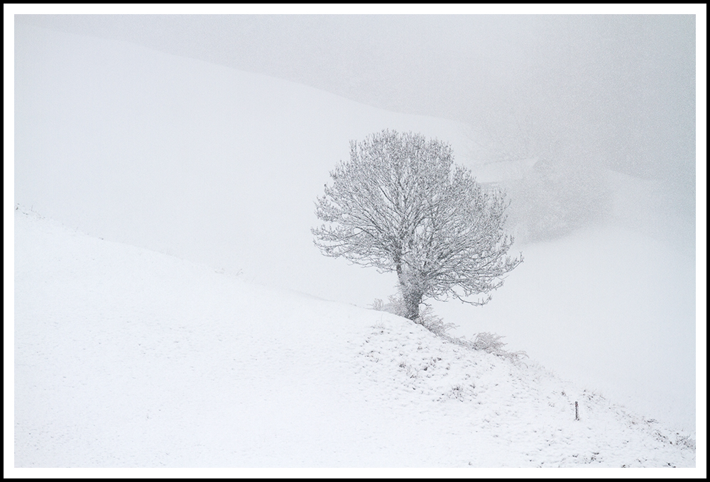 Winterlandschaft