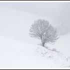 Winterlandschaft