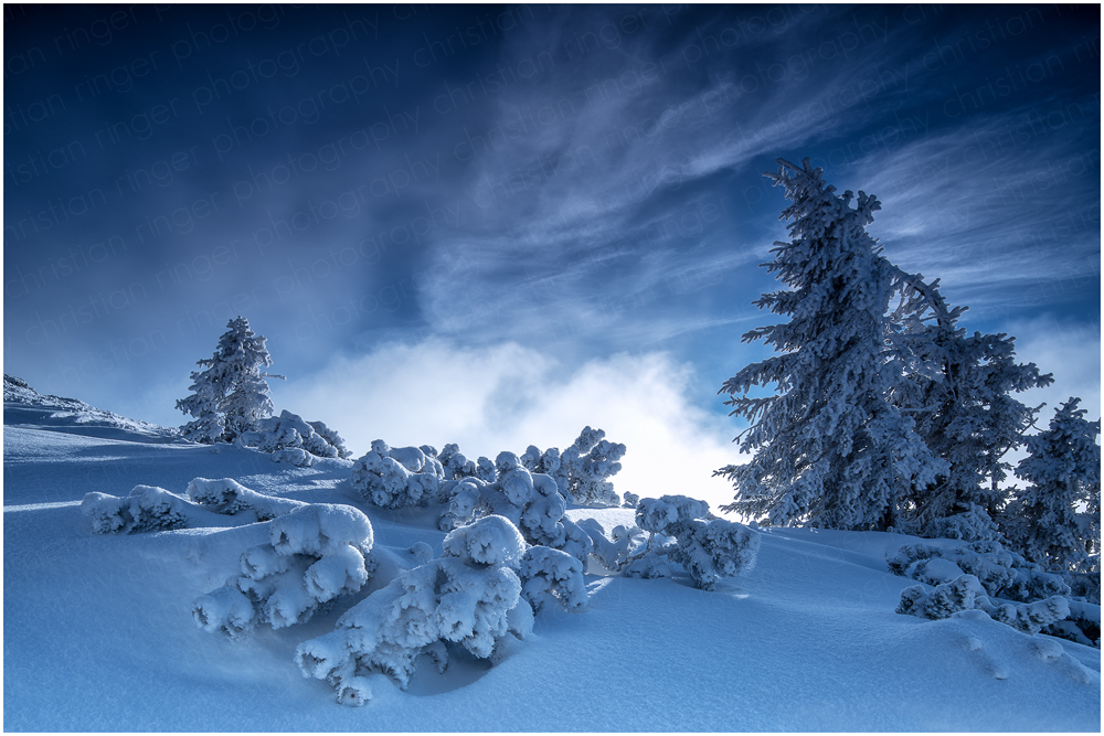 Winterlandschaft