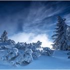 Winterlandschaft