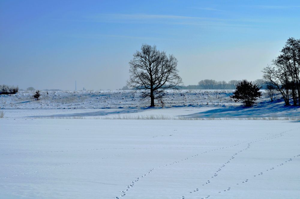 Winterlandschaft 