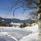 Winterlandschaft