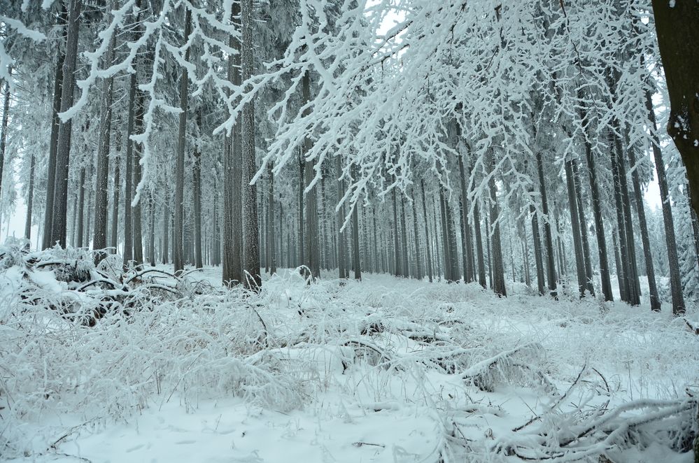 Winterlandschaft