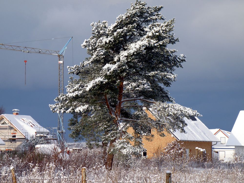 Winterlandschaft