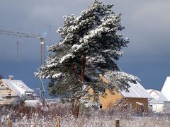 Winterlandschaft