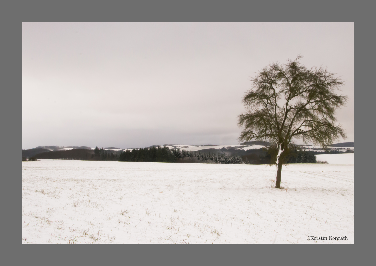 Winterlandschaft