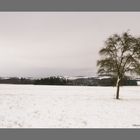 Winterlandschaft