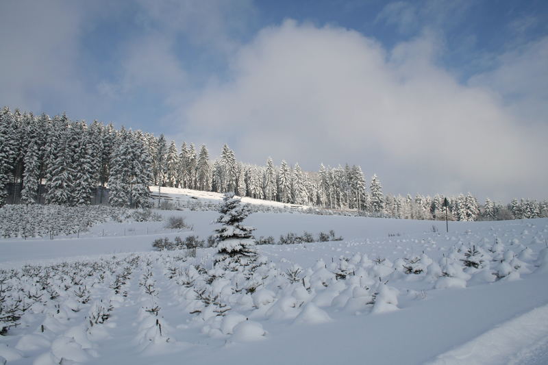 Winterlandschaft