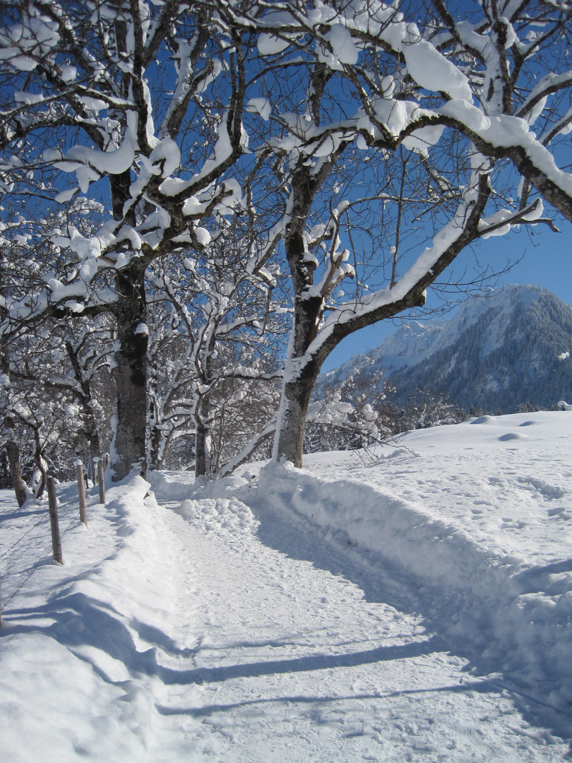 Winterlandschaft