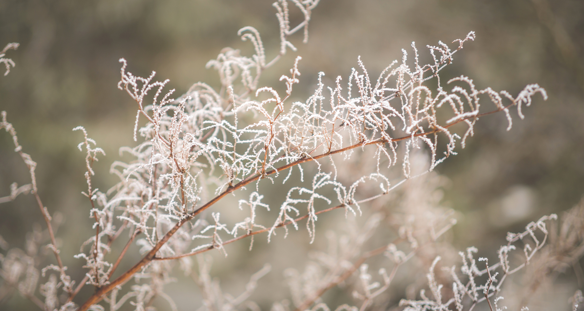 Winterlandschaft / 6