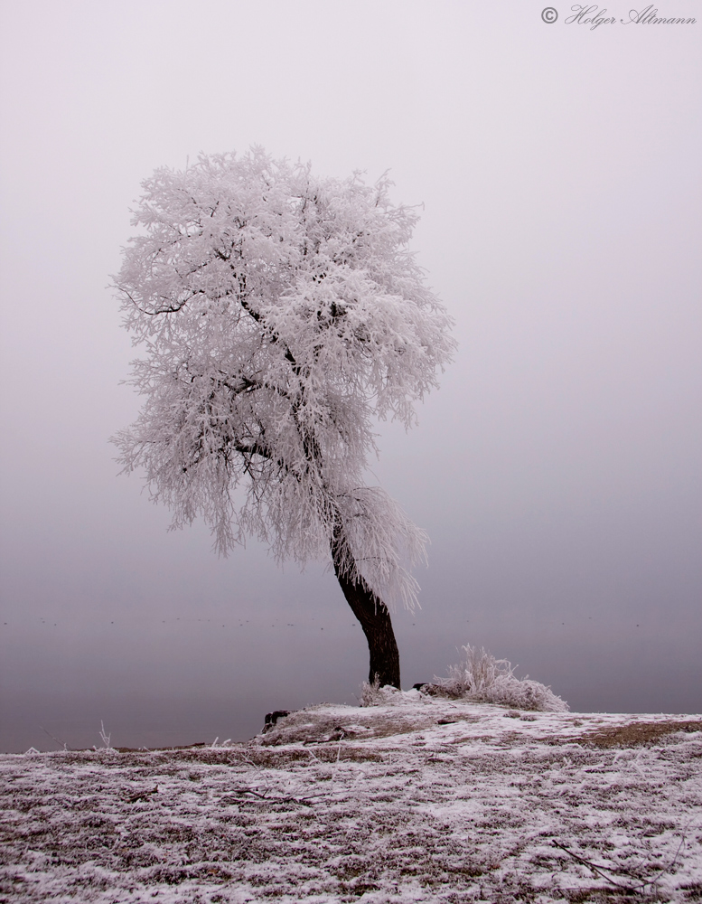 Winterlandschaft (6)