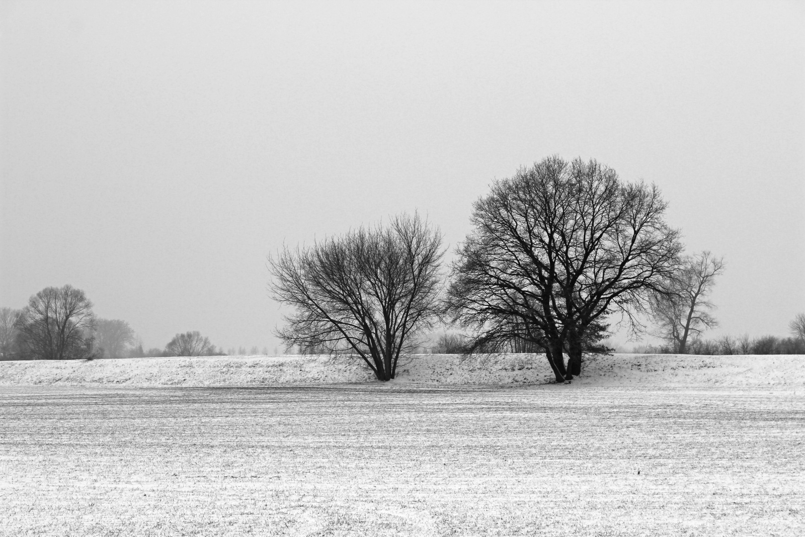 Winterlandschaft