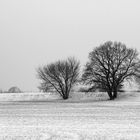 Winterlandschaft