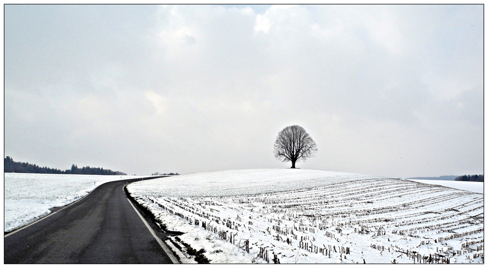 Winterlandschaft