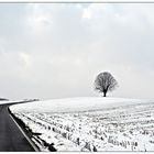 Winterlandschaft