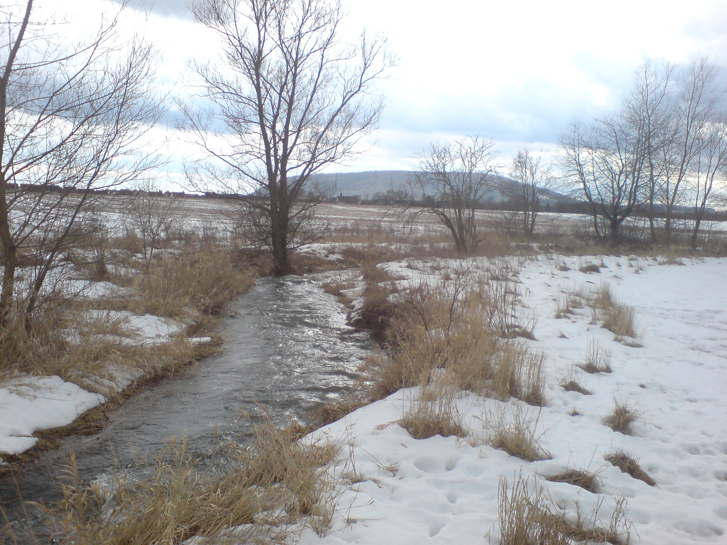 Winterlandschaft