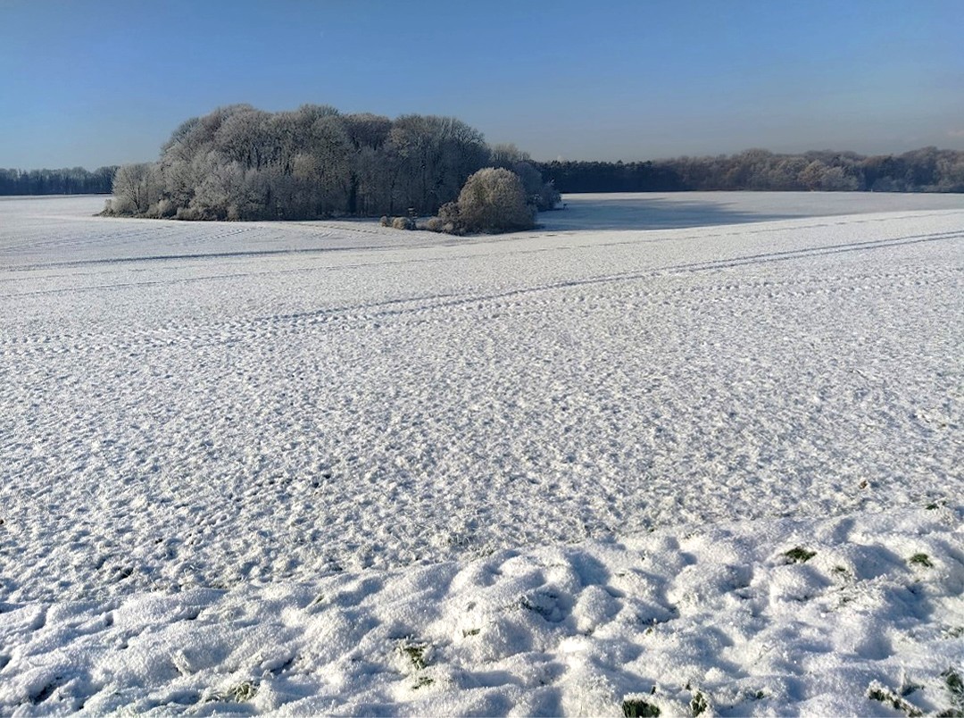 Winterlandschaft