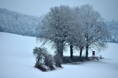 Winterlandschaft