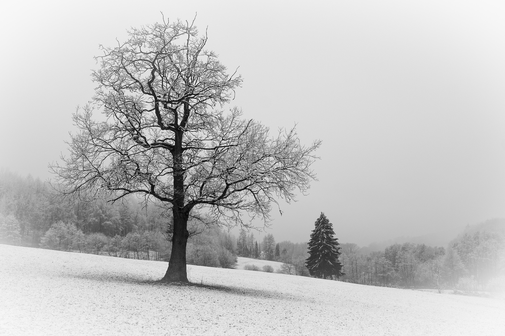 Winterlandschaft