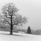 Winterlandschaft