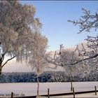 Winterlandschaft