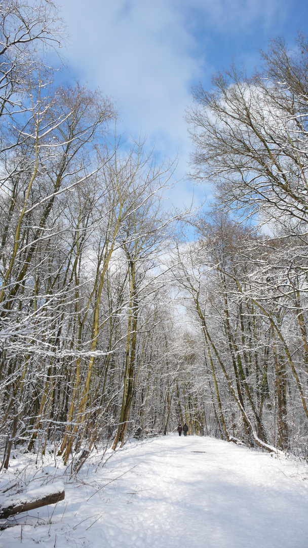 WINTERLANDSCHAFT