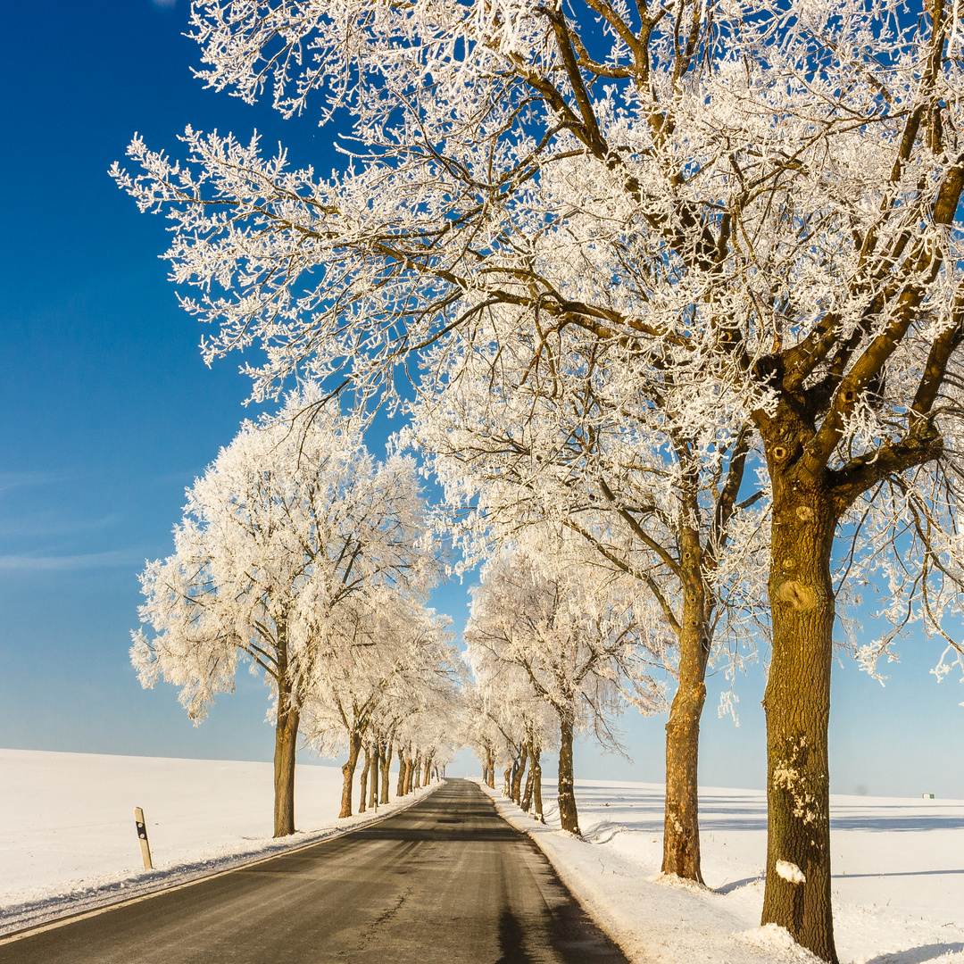 Winterlandschaft 