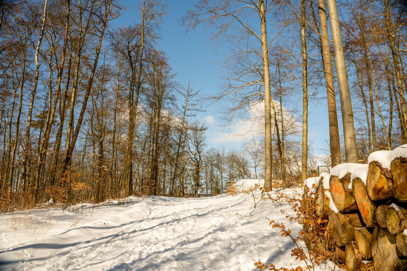 Winterlandschaft